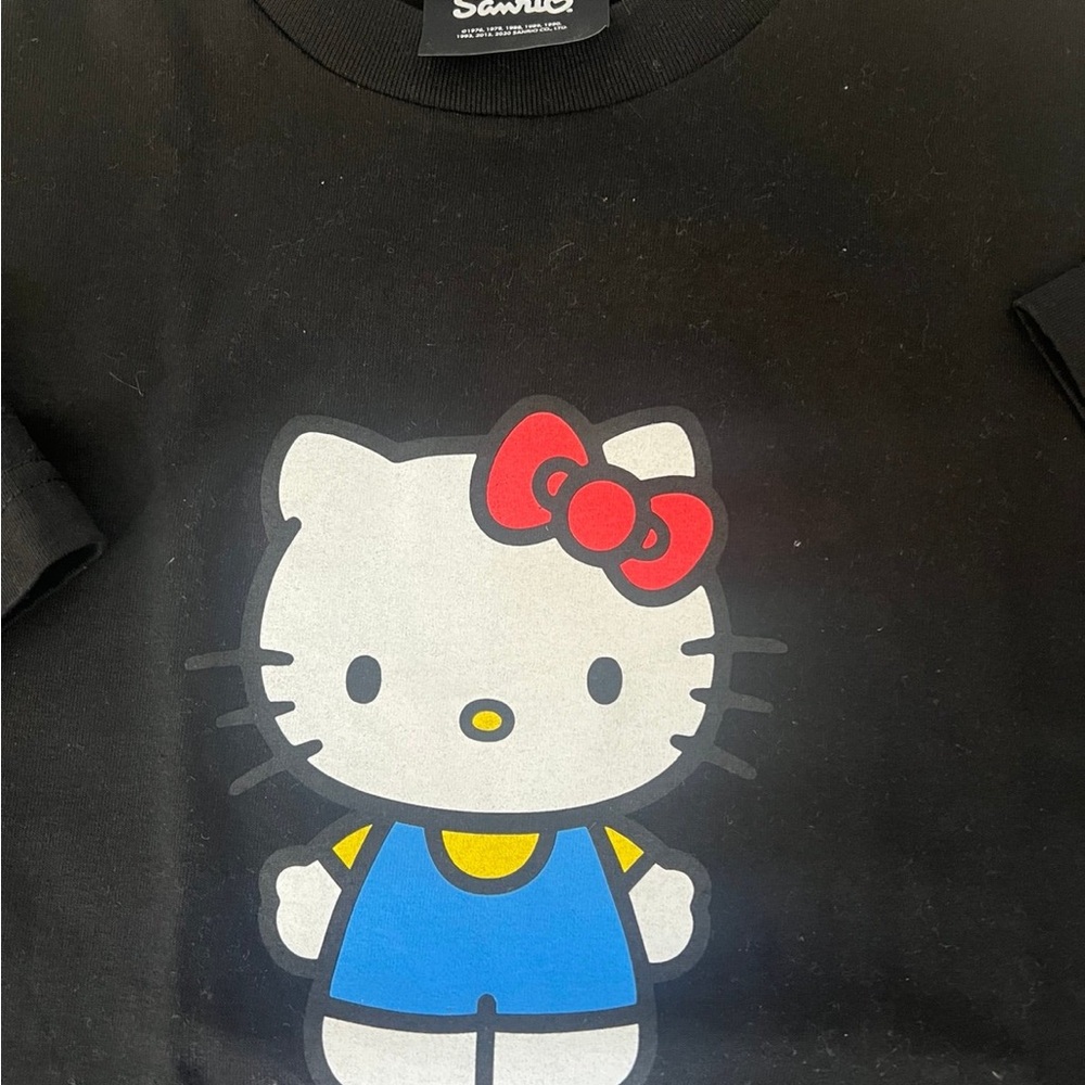 The Hundreds Black Tee with Red and Blue Hello Kitty